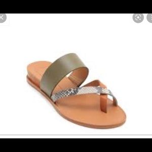 Dolce Vita Paddy Sandal Olive Green